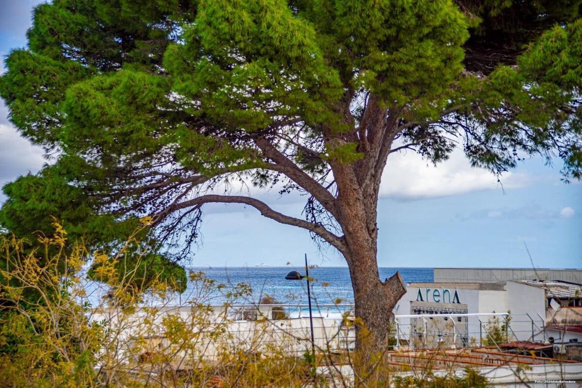 Apartment Sirene Blu *